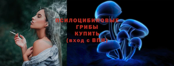 ГАЛЛЮЦИНОГЕННЫЕ ГРИБЫ Барнаул