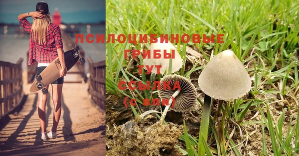 COCAINE Медвежьегорск