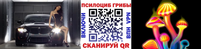 Псилоцибиновые грибы MAGIC MUSHROOMS  Шали 