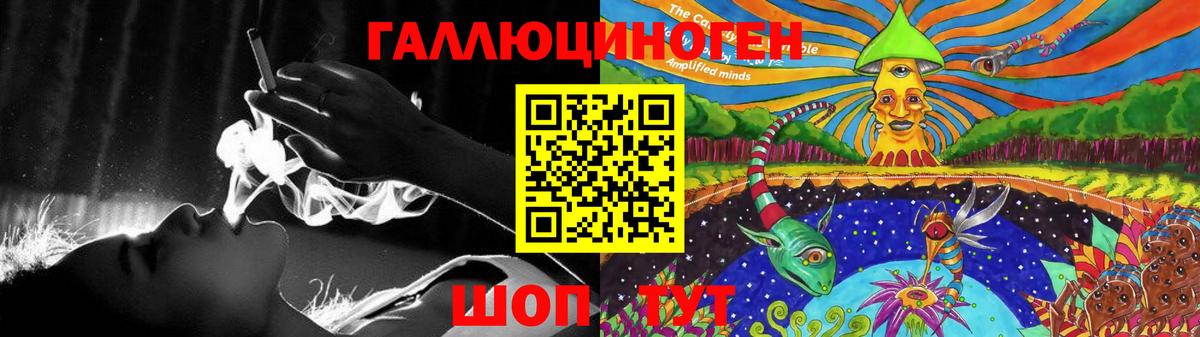 купить наркотики сайты  Вход с VPN  Шали  Псилоцибиновые грибы Psilocybe 