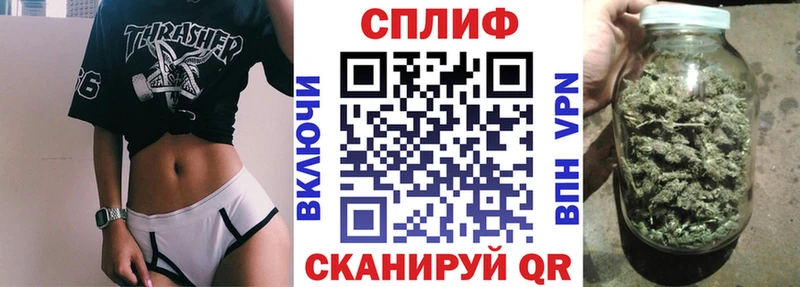 Конопля THC 21%  дарк нет Telegram  Шали  купить наркотики цена  ОМГ ОМГ ссылки 