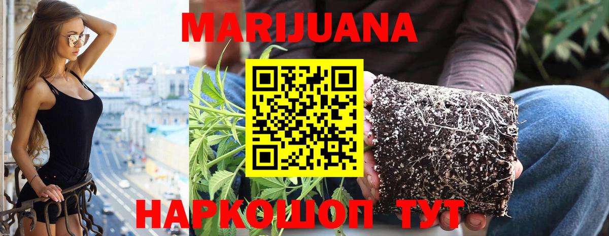 Конопля MAZAR Шали